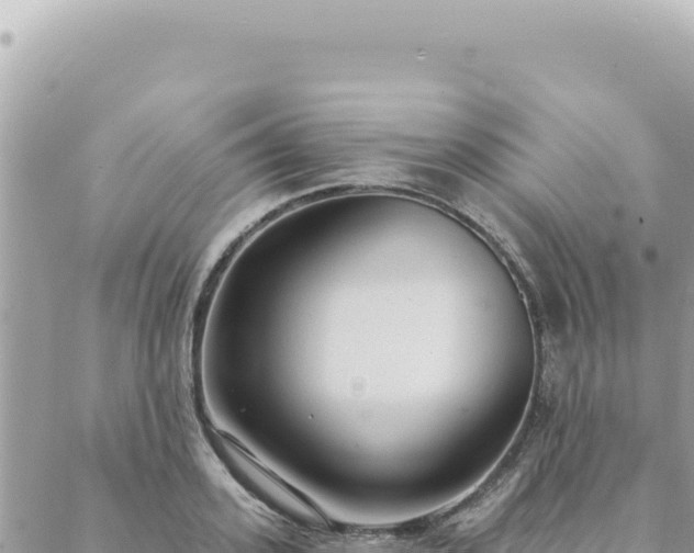 X0000088610939200706011224