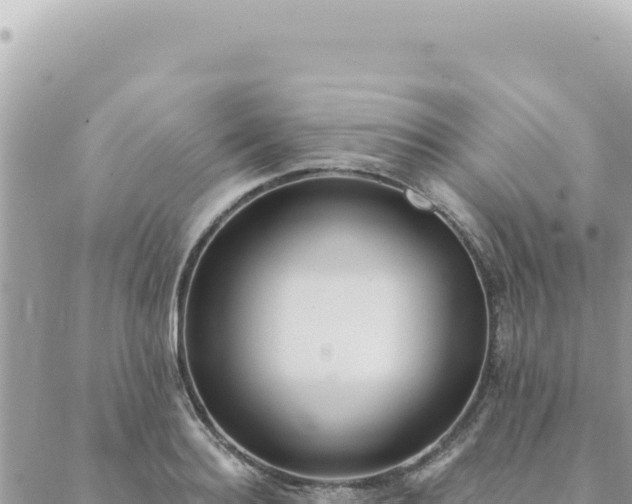 X0000088610940200706011224