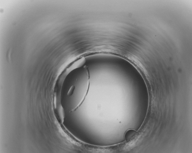 X0000088610941200706011224