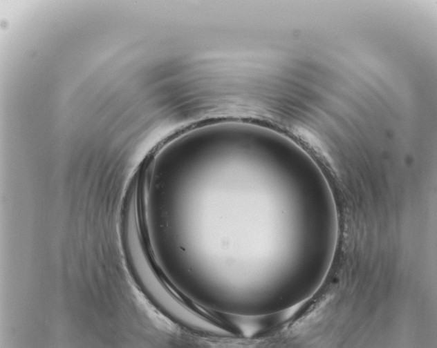 X0000088610942200706011224