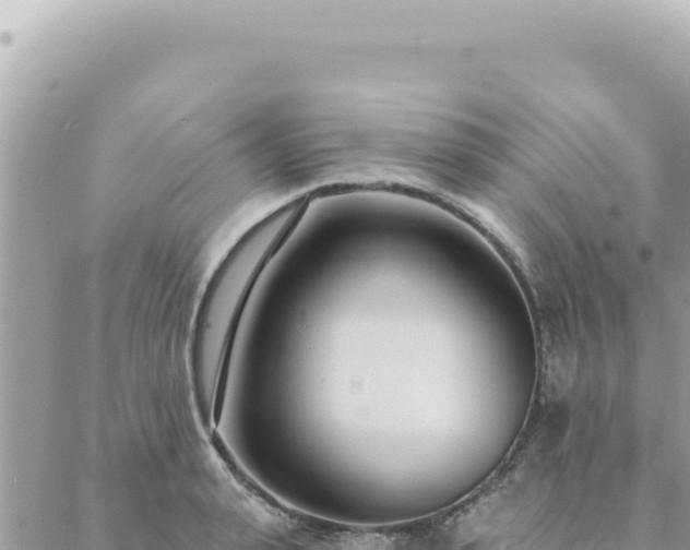 X0000088610943200706011224