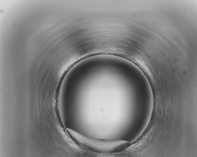 X0000088610944200706011224