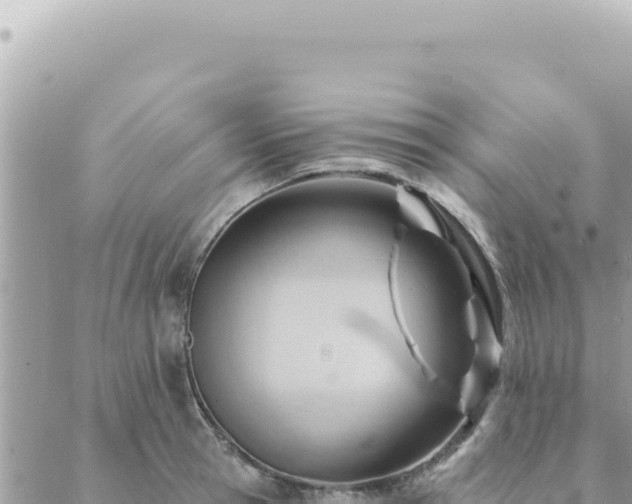 X0000088610945200706011224