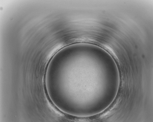 X0000088610946200706011224