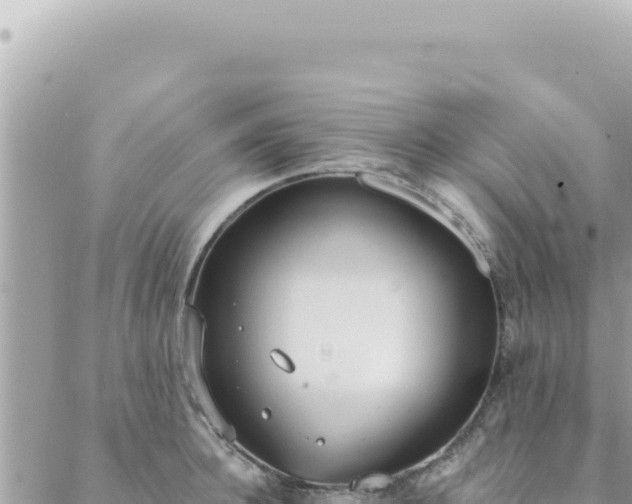 X0000088610948200706011224