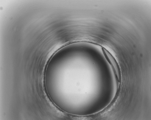 X0000088610949200706011224