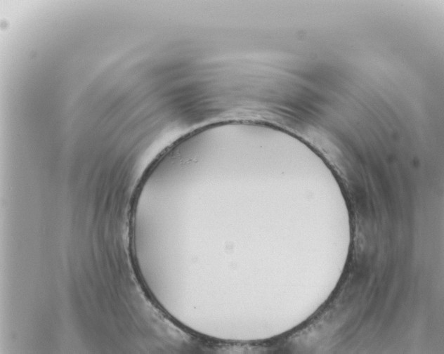 X0000088610950200706011224