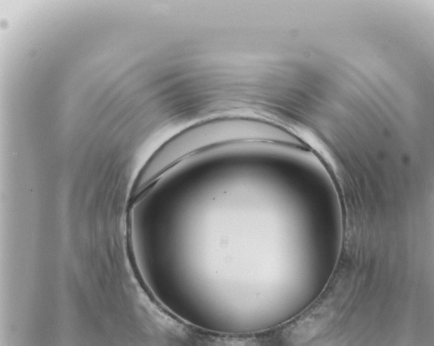 X0000088610951200706011224