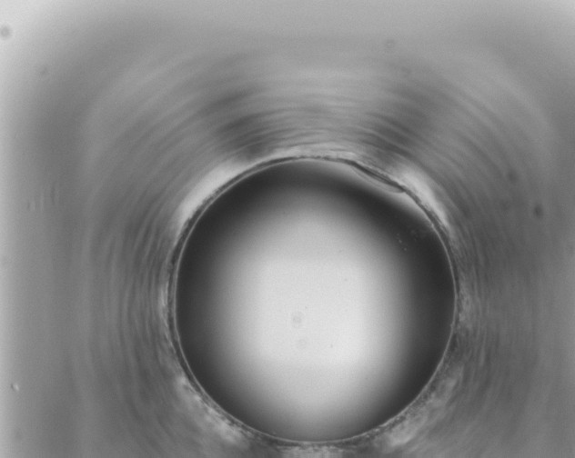 X0000088610952200706011224