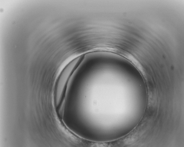 X0000088610955200706011224