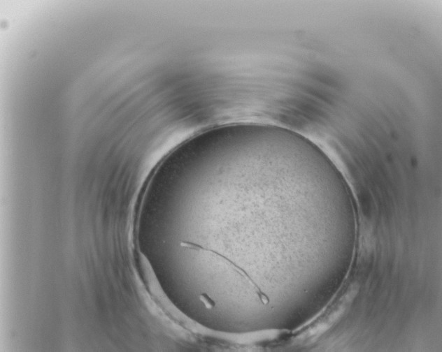 X0000088610957200706011224