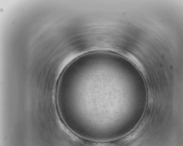 X0000088610958200706011224