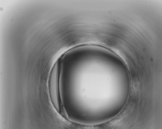 X0000088610959200706011224