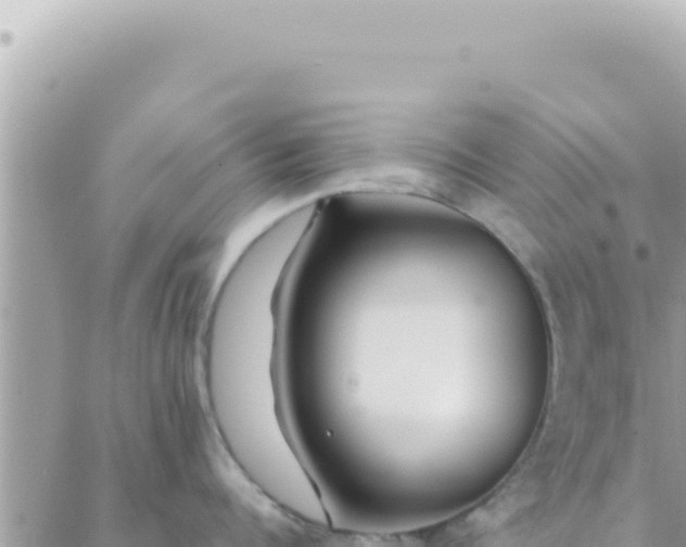 X0000088610960200706011224