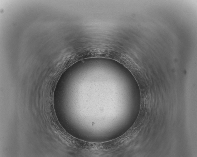 X0000088610961200706011223