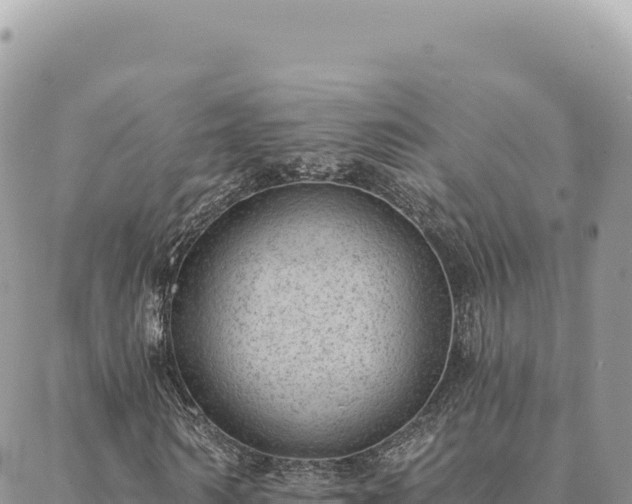 X0000088610962200706011223