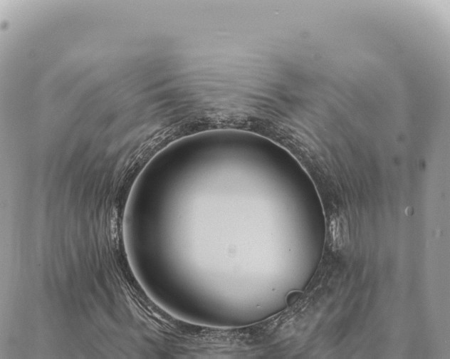 X0000088610963200706011223