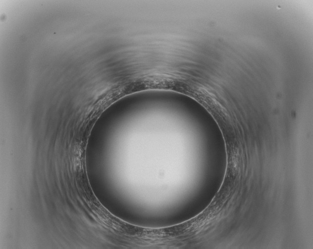 X0000088610964200706011223