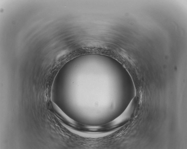 X0000088610965200706011223