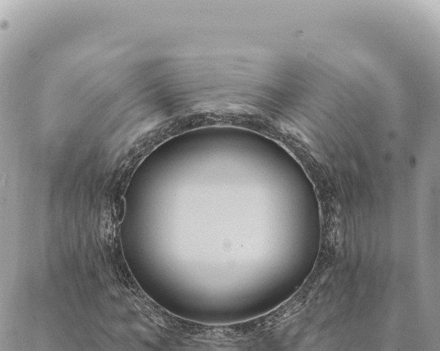 X0000088610966200706011223