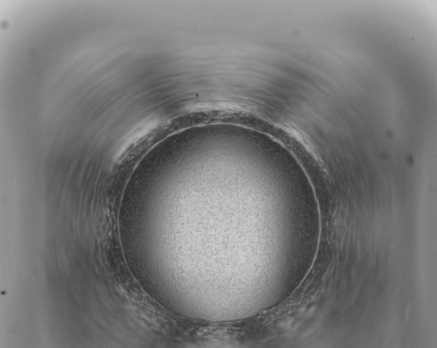 X0000088610967200706011223