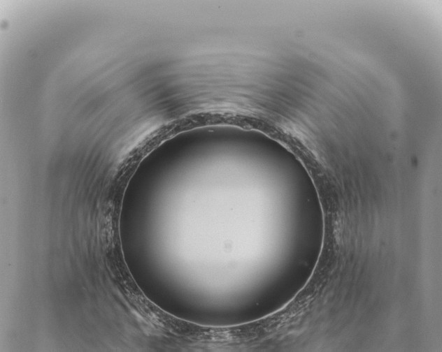 X0000088610968200706011223