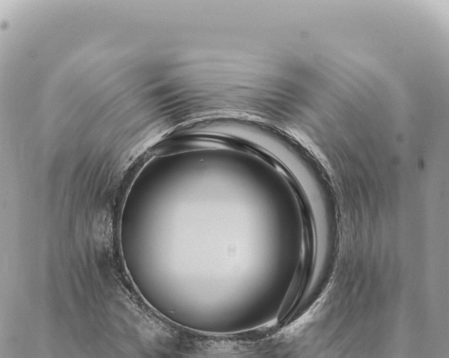 X0000088610969200706011223