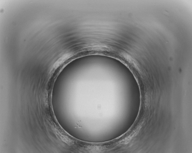 X0000088610970200706011223