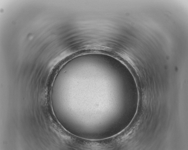 X0000088610971200706011223