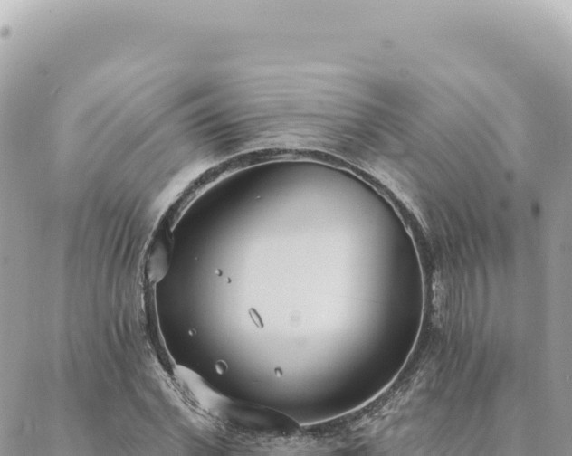 X0000088610972200706011223