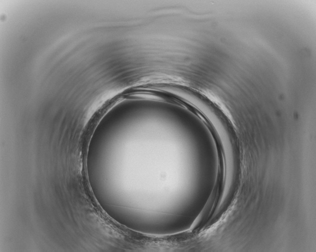 X0000088610973200706011223