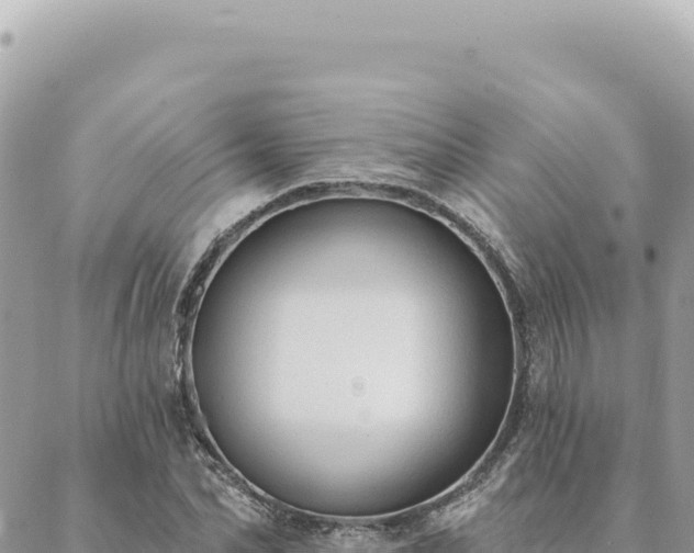 X0000088610974200706011223