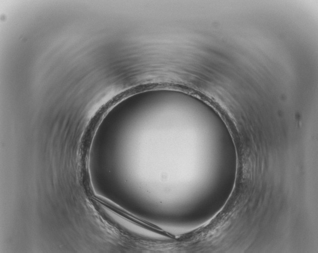 X0000088610975200706011223