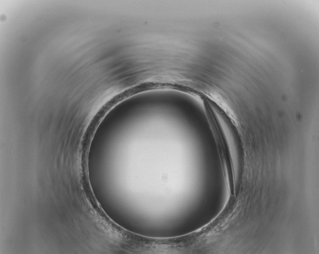 X0000088610976200706011223