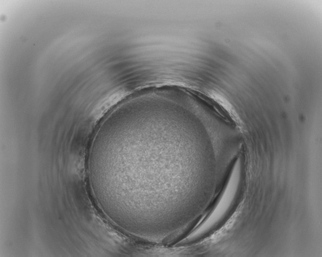 X0000088610977200706011223