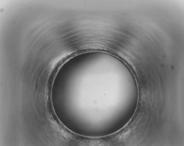 X0000088610979200706011223