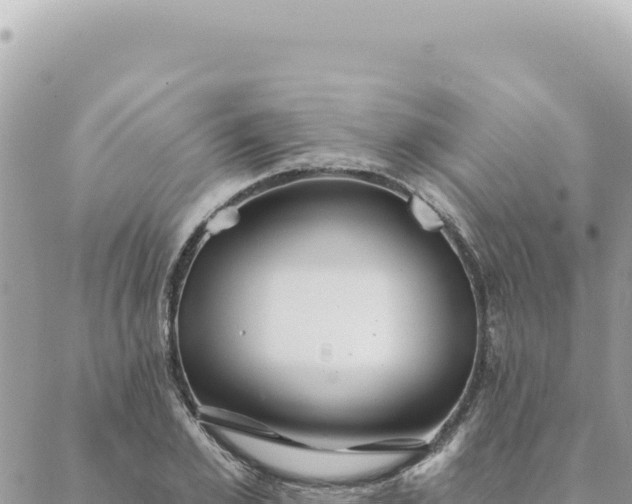 X0000088610981200706011223