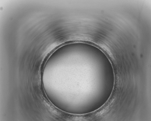 X0000088610982200706011223