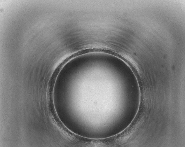 X0000088610983200706011223