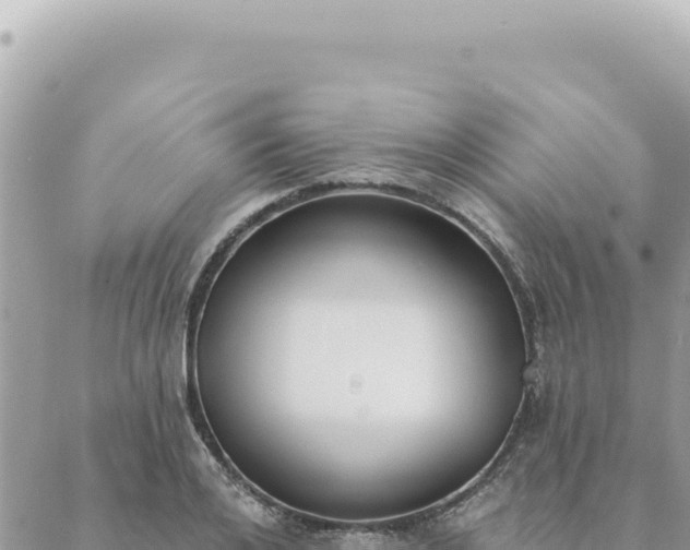 X0000088610984200706011223