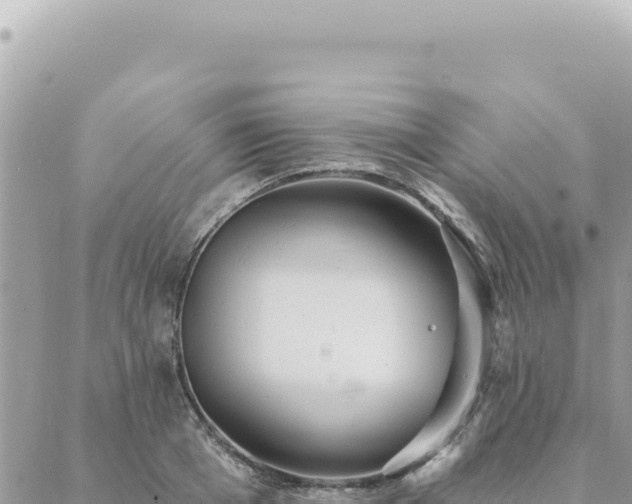 X0000088610985200706011223