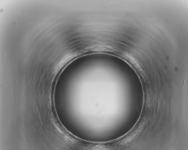 X0000088610986200706011223