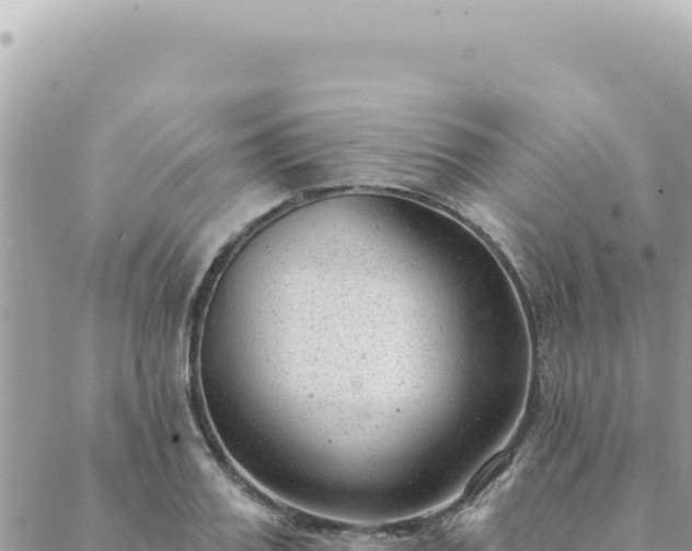 X0000088610987200706011223