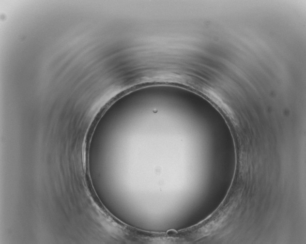 X0000088610988200706011223