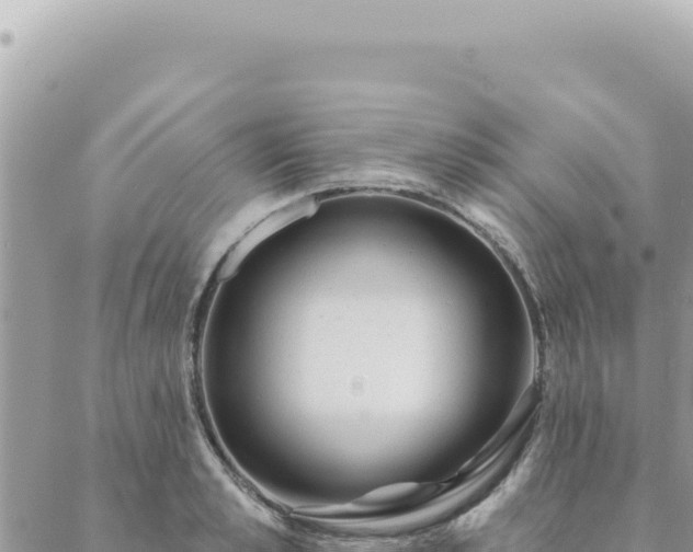 X0000088610989200706011223