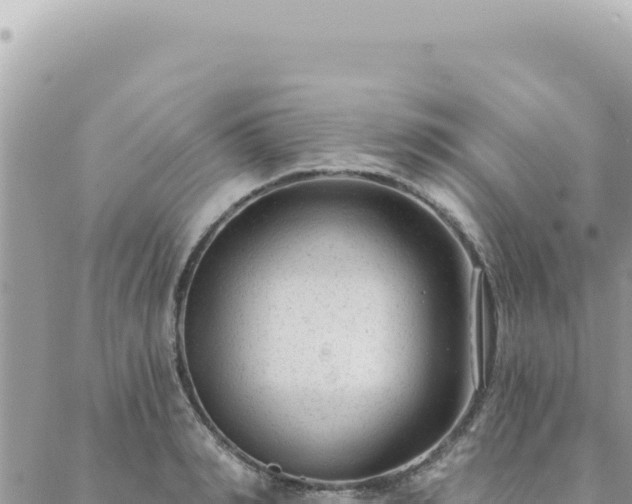 X0000088610990200706011223