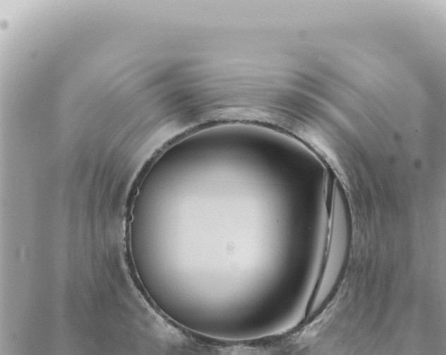 X0000088610992200706011223