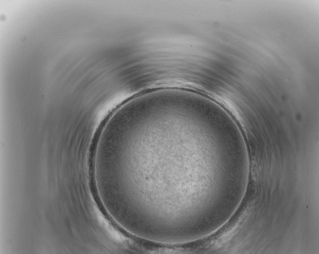 X0000088610995200706011223