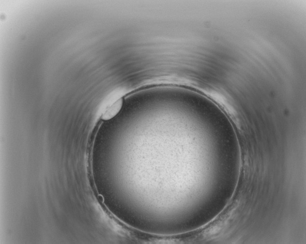 X0000088610998200706011223