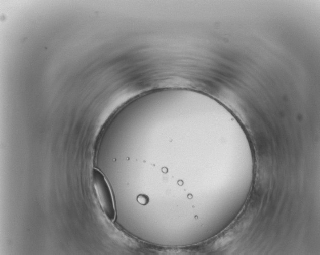 X0000088611000200706011223